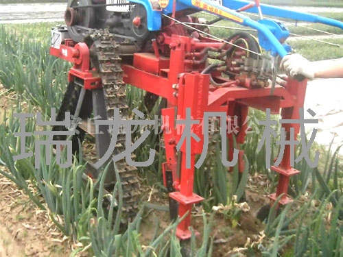 大蔥收割機
